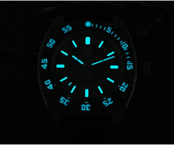 OEM Customised Titanium Watch Case with Swiss Made Automatic Movt for Mans Waterproof Titanium Diver Watch from Custom Watch Maker - Beryl Watch